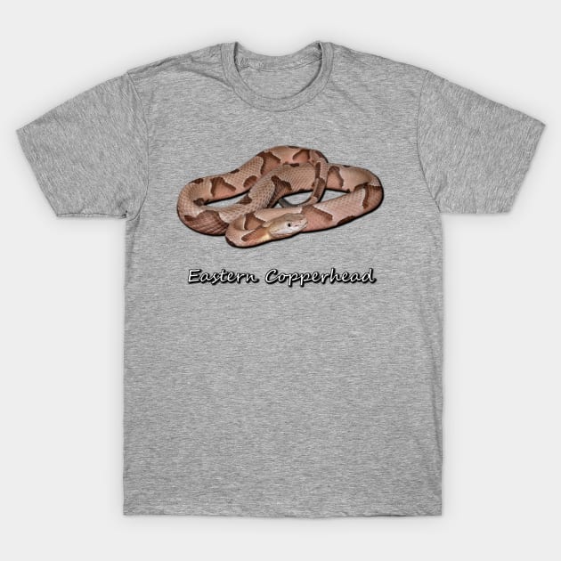 Eastern Copperhead T-Shirt by Paul Prints